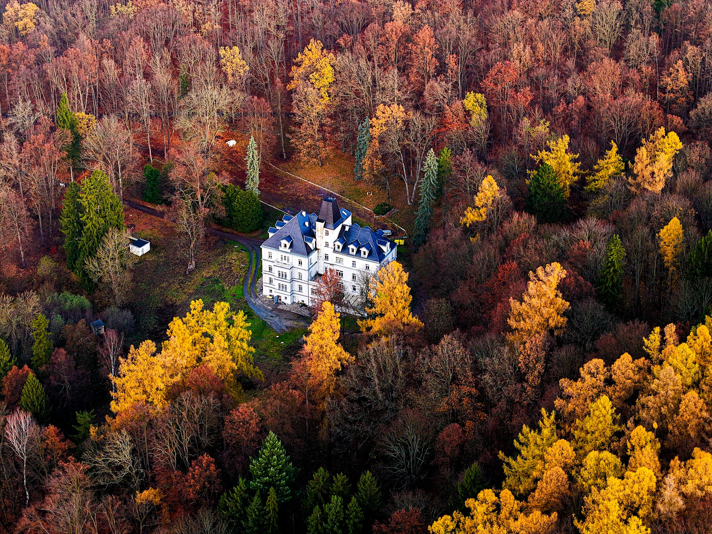 Villa in the forest